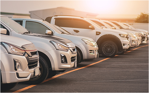 条件に合うお車探し